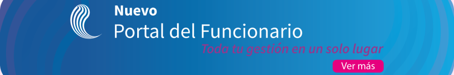 carrusel portal del funcionario final